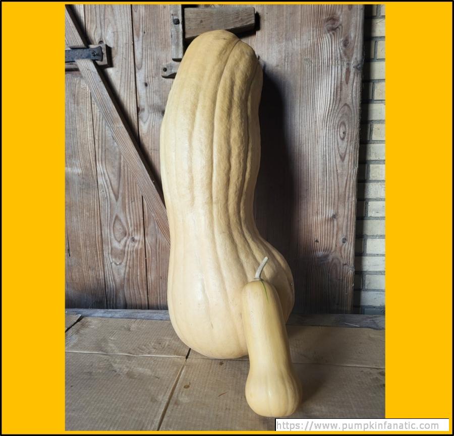 95.239 Leuenberger 2025